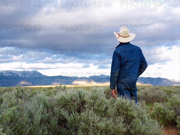 USA, Utah, Rear view of man standing in desert landscape. Photo : John Kelly