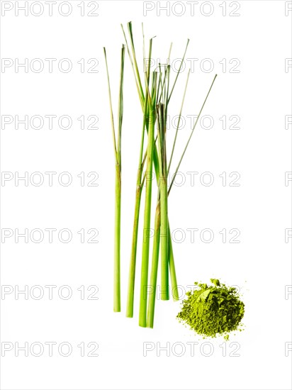 Studio shot of lemon grass. Photo : David Arky