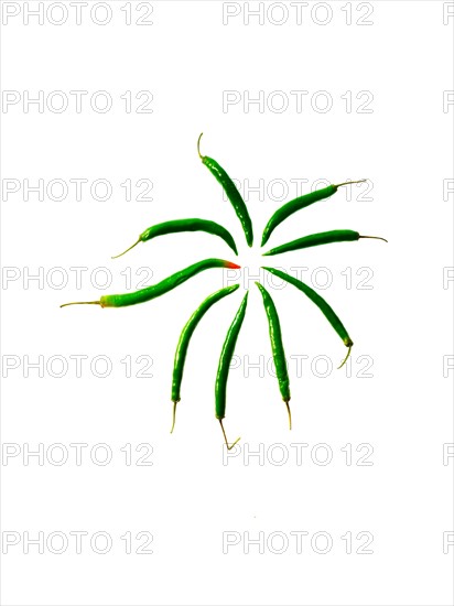 Studio shot of Green Chili Peppers on white background. Photo : David Arky