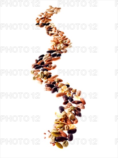 Studio shot of Mixed Seeds on white background. Photo : David Arky