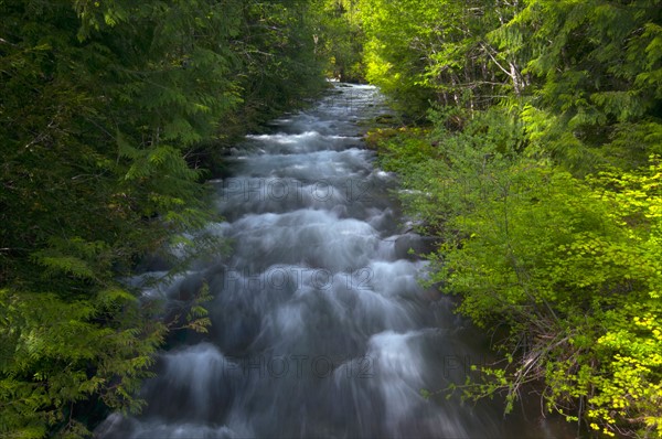 USA, Oregon, Linn County, View of Marion Creek. Photo : Gary J Weathers