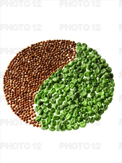 Studio shot of Cardamom Seeds and Pea Seeds making Yin Yang on white background. Photo : David Arky