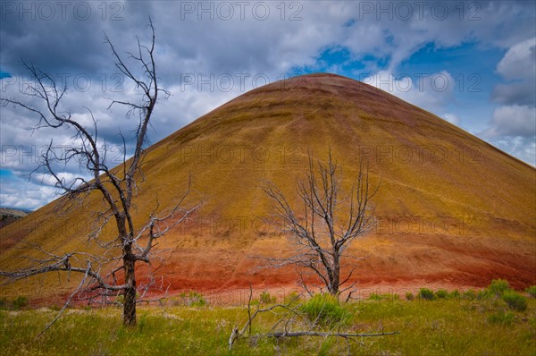 USA, Oregon, Mitchell, Scenic view of hill. Photo : Gary J Weathers