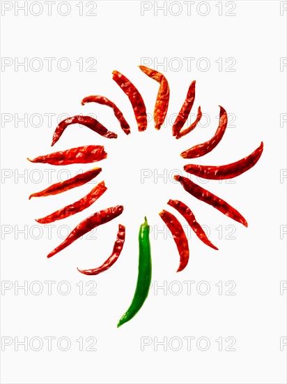 Studio shot of Red and Green Chili Peppers on white background. Photo: David Arky