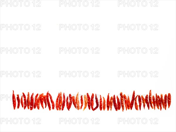 Studio shot of Red Chili Peppers on white background. Photo: David Arky