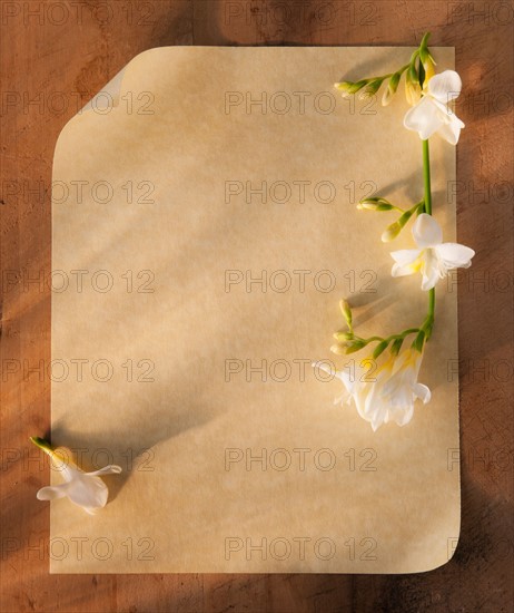 Close up of plank page of antique love letter with flowers. Photo : Daniel Grill