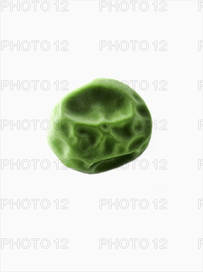 Studio shot of Pea Seed on white background. Photo : David Arky