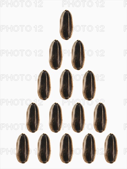 Studio shot of Sunflower Seeds on white background. Photo: David Arky