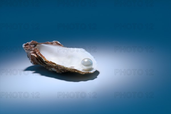 Oyster pearl on gray background.