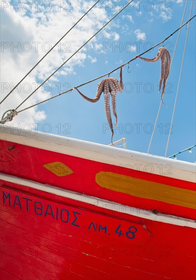 Greece, Cyclades Islands, Mykonos, Sun drying octopus on fishing boat.