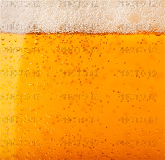 Close-up of lager in glass.