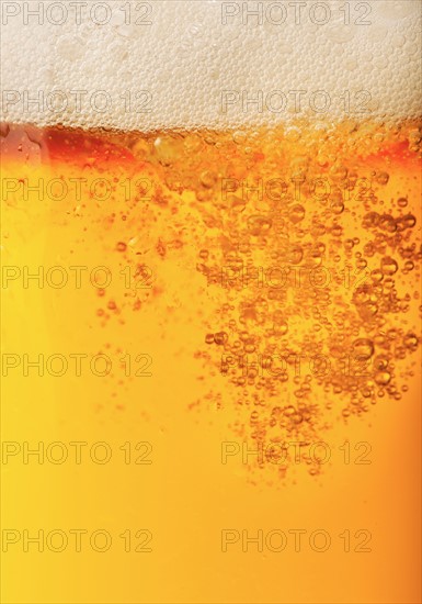 Close-up of lager in glass.