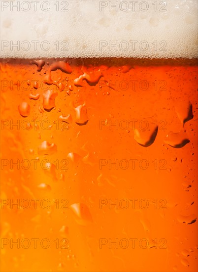 Close-up of lager in glass.