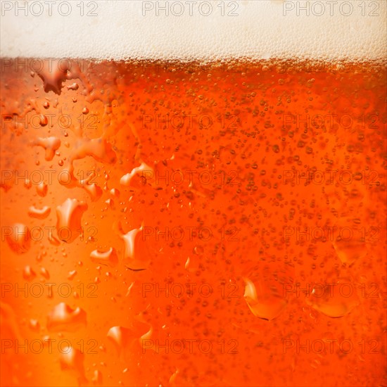 Close-up of lager in glass.