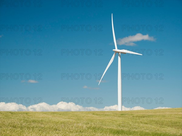 USA, Oregon, Wasco, Wheat field and wind farm in bright sunshine under blue sky.