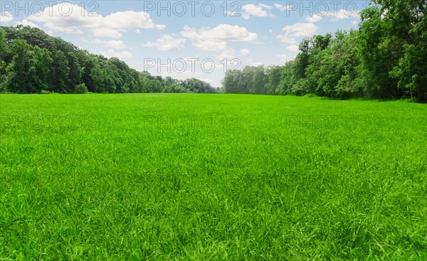 USA, Connecticut, Kent, green meadow. Photo : Tetra Images
