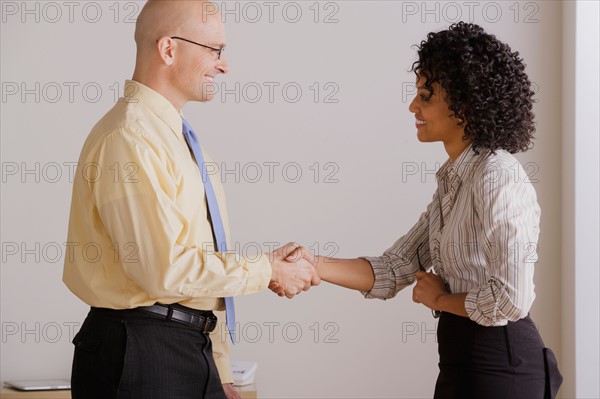 Businessman and businesswoman handshake during meeting. Photo : Rob Lewine