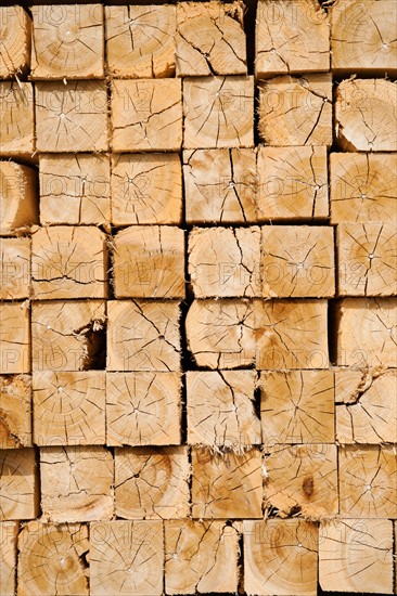 Full-frame shot of orderly timber stacks.