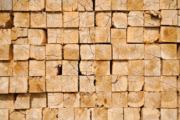 Full-frame shot of orderly timber stacks.