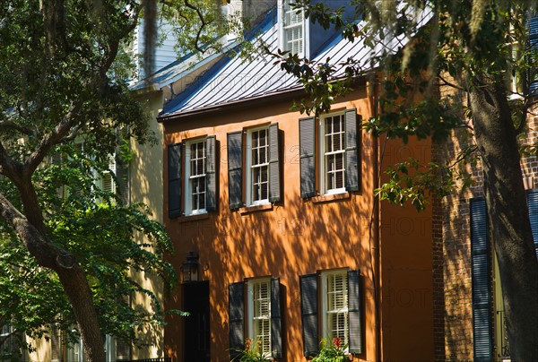 USA, Georgia, Savannah, Hose among trees.