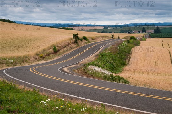 USA, Oregon, Marion County, Rural road. Photo: Gary J Weathers
