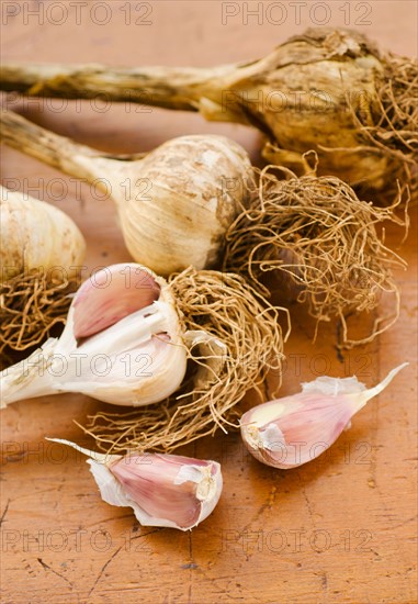 Studio shot of fresh garlic.