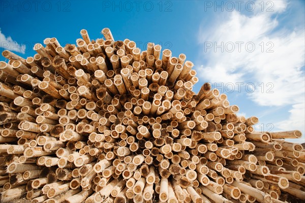 Stack of timber against blue sky.