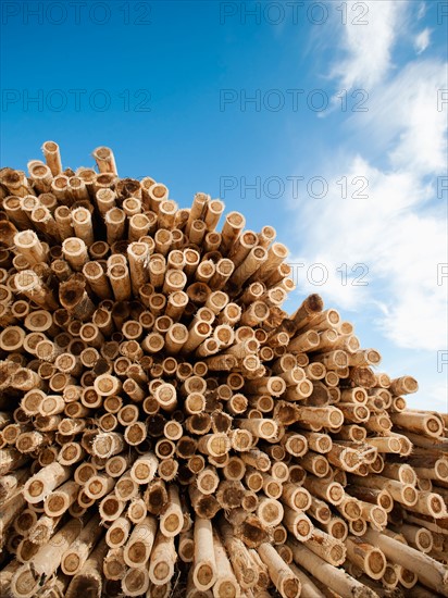 Stack of timber against blue sky.