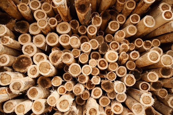 Full-frame shot of timber stack.