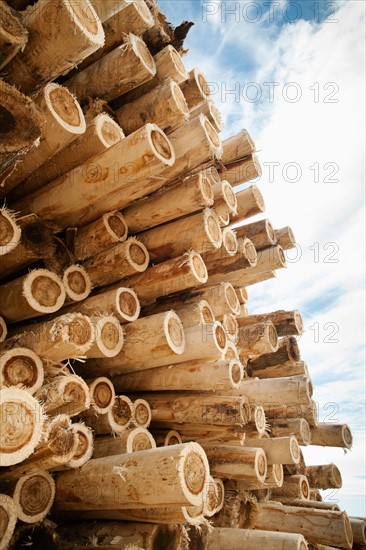 Stack of timber against sky.