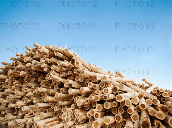 Stack of timber against blue sky.