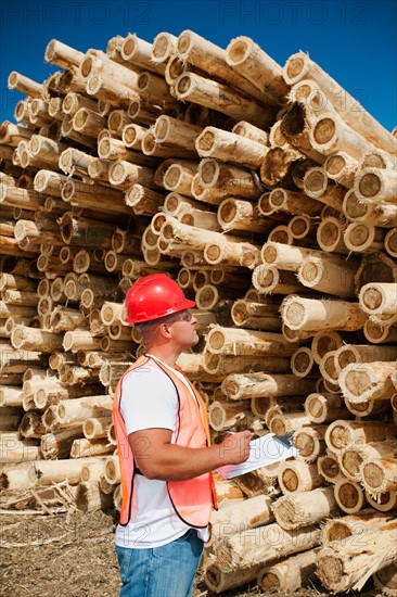 Engineer in front of stack of timber.