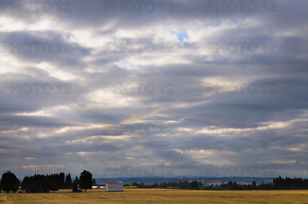 USA, Oregon, Marion County, Rural scene at sunrise. Photo : Gary J Weathers