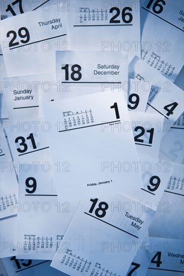 Calendar cards. Photo : Daniel Grill