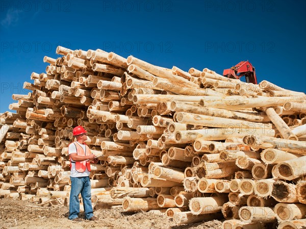 Engineer in front of stack of timber.