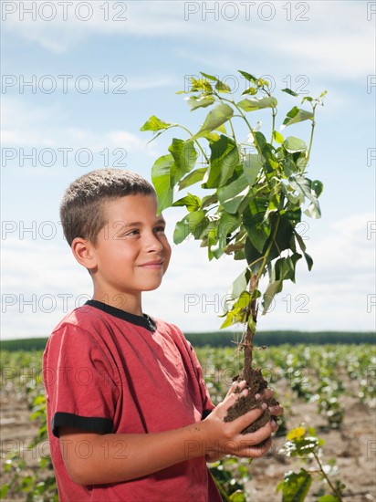 Boy (8-9) planting trees in tree farm.