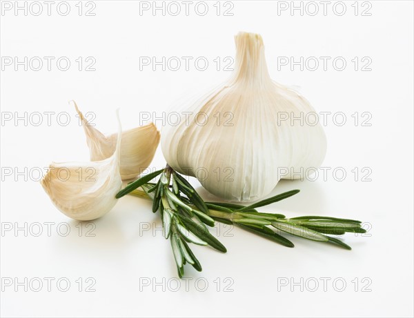 Studio shot of fresh garlic and rosemary.