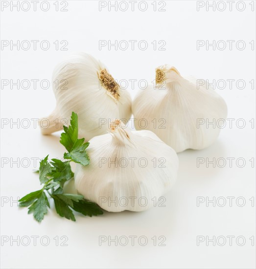 Studio shot of fresh garlic and cilantro.