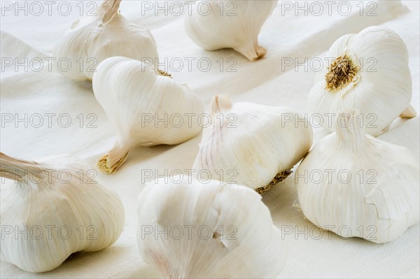 Studio shot of fresh garlic.