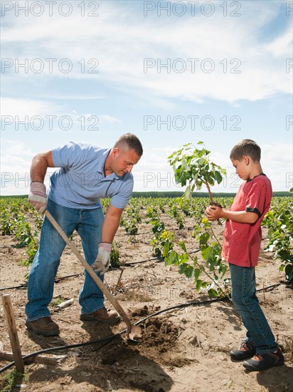 Father and son (8-9) planting trees in tree farm.