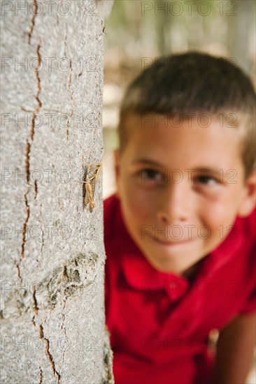 Boy (8-9) playing seekand hide between poplar trees in tree farm. Photo: Erik Isakson