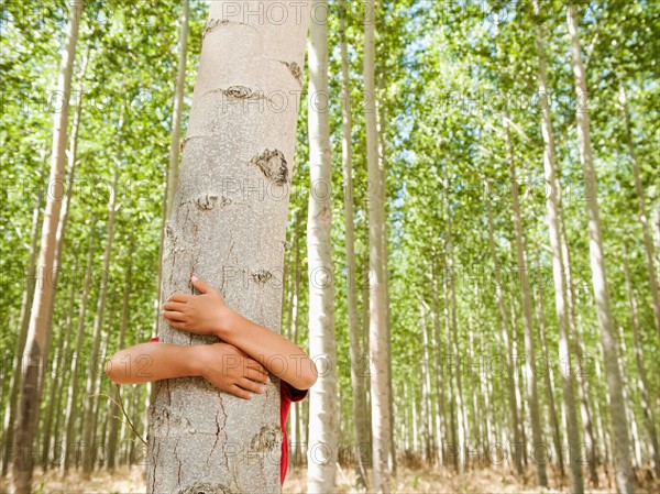 USA, Oregon, Boardman, Boy (8-9) hugging poplar tree in tree farm.