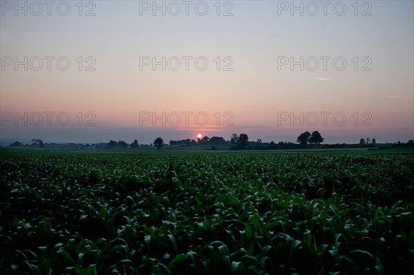 USA, New York State, Farmland at sunset. Photo : Winslow Productions