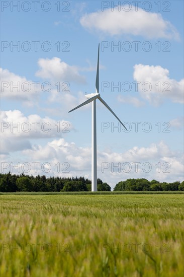 France, Picardy, Somme, Pont Remy, Wind turbine in field. Photo : Jan Scherders