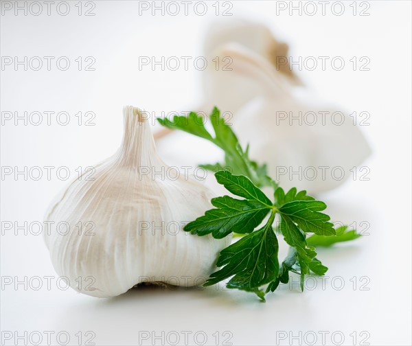 Studio shot of fresh garlic and cilantro.