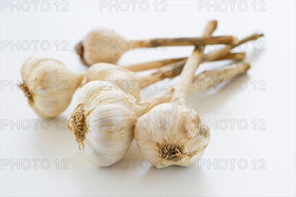 Studio shot of fresh garlic.