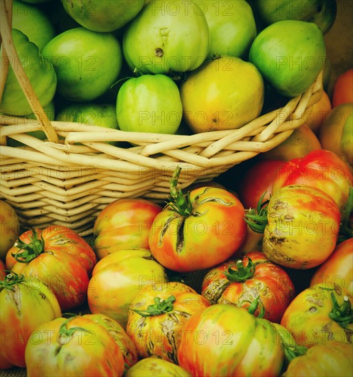 Studio shot of tomatoes in basket.