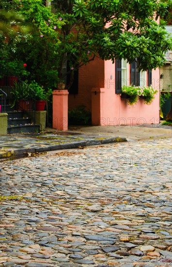 USA, South Carolina, Charleston, Old cobblestone street.