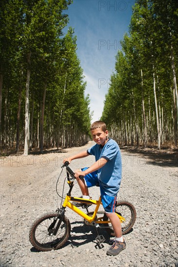 Boy (8-9) riding bike between poplar trees in tree farm.