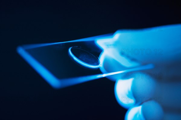 Studio shot of hand holding microscope slide.